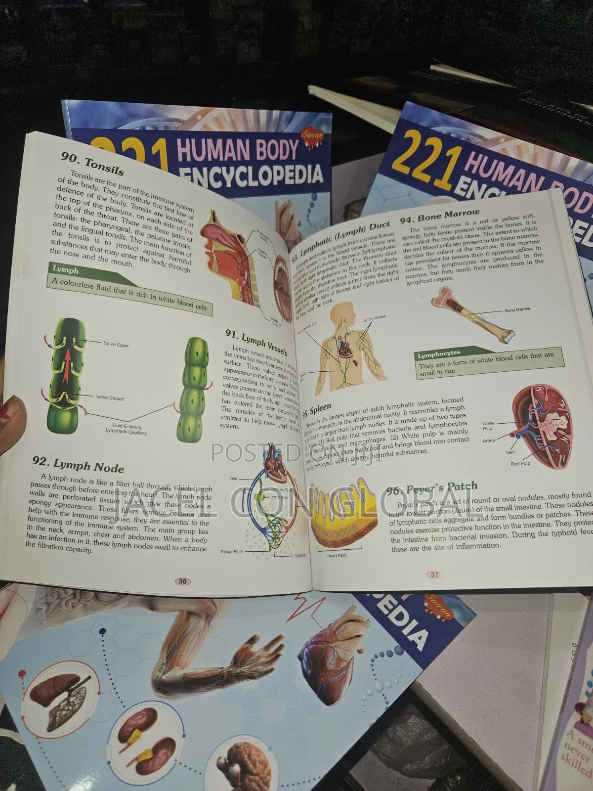 221 Human Body Encyclopedia Textbook
