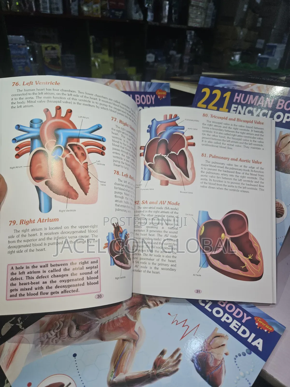 221 Human Body Encyclopedia Textbook