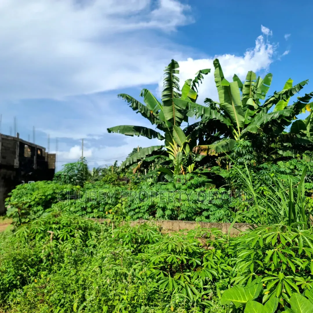 2 Plots of Land for Sale in Umuahia