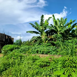 2 Plots of Land for Sale in Umuahia