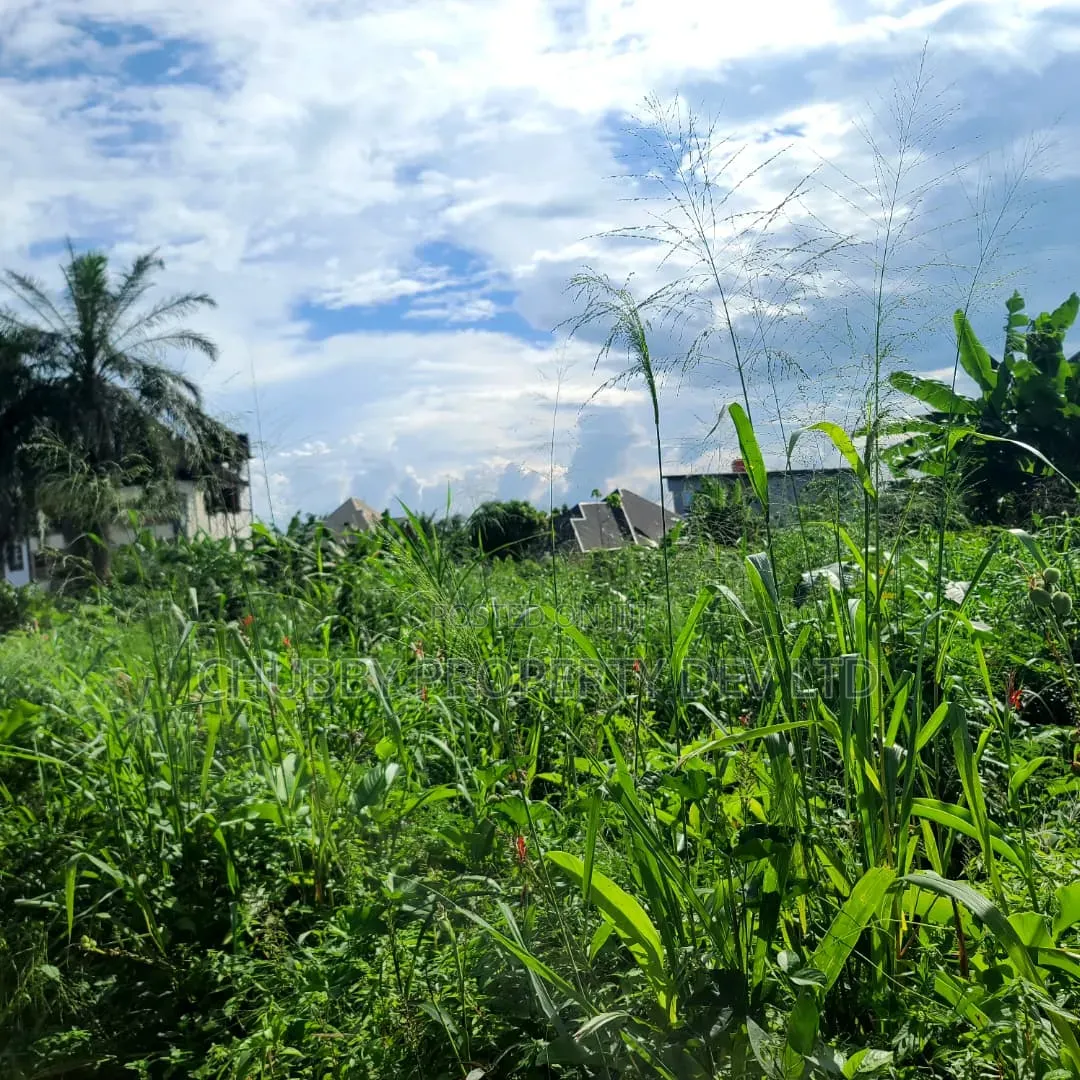 2 Plots of Land for Sale in Umuahia