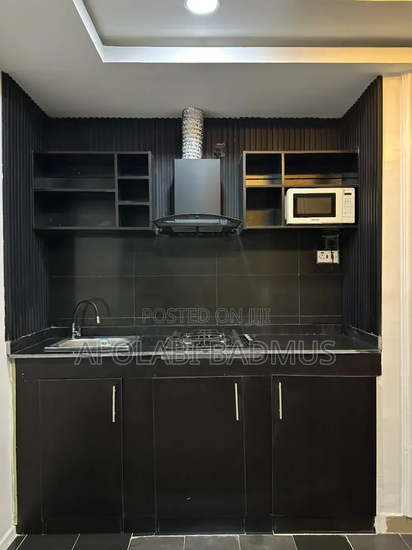 Furnished 1bdrm Apartment in Abuja, Bunkoro for rent