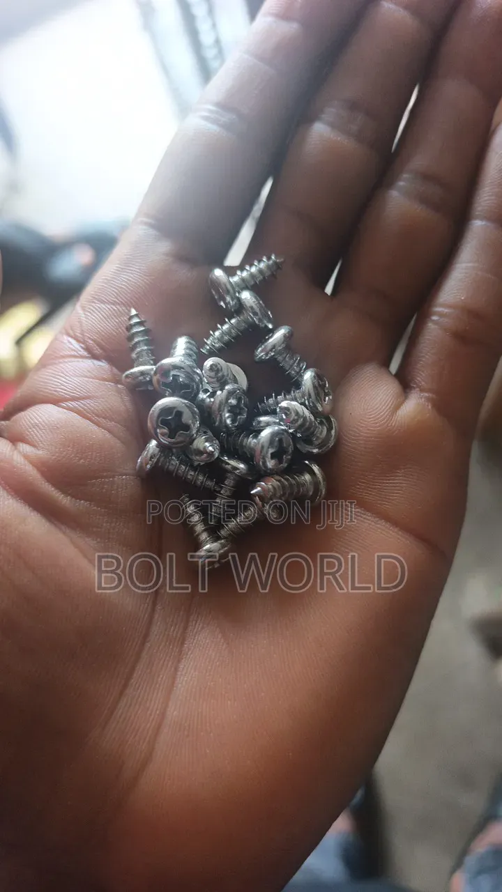 4.8x13 Self Tapping Screw Philip Head
