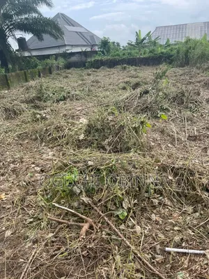Distress Sale of One Plot at Omuoluta Igwuruta