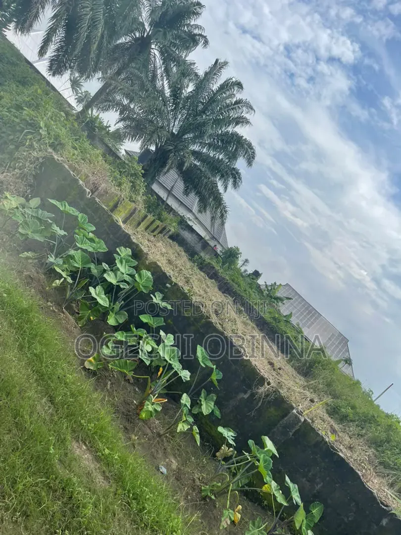 Distress Sale of One Plot at Omuoluta Igwuruta