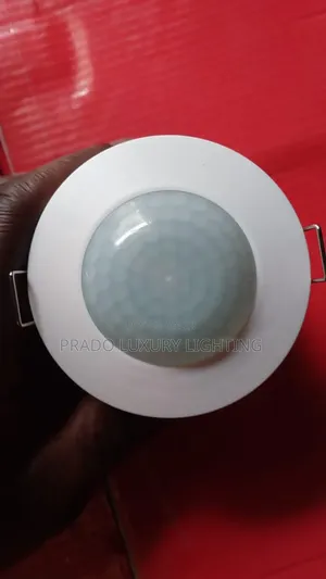 Motion Sensor Light