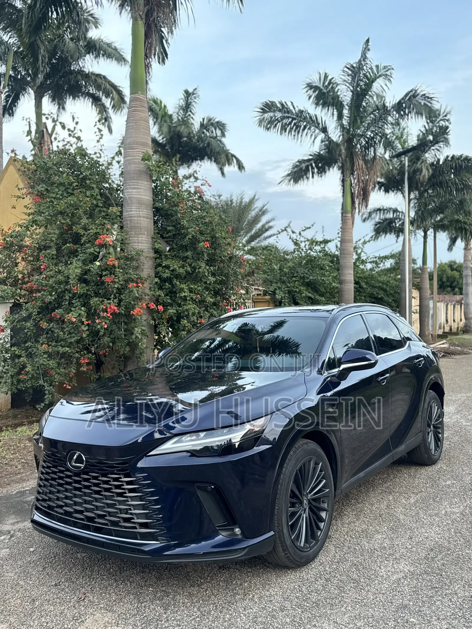 Lexus RX 2025 Blue