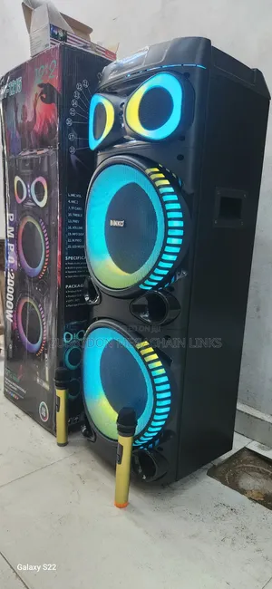 Party Speaker