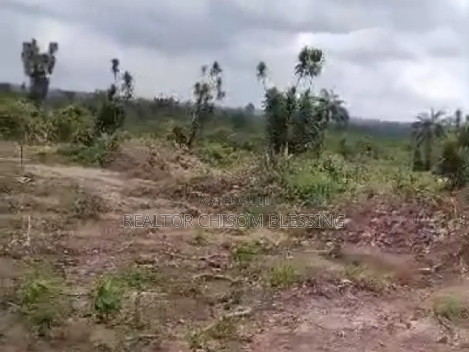 5 Plots Available Behind Divinity School, Old Umuahia!