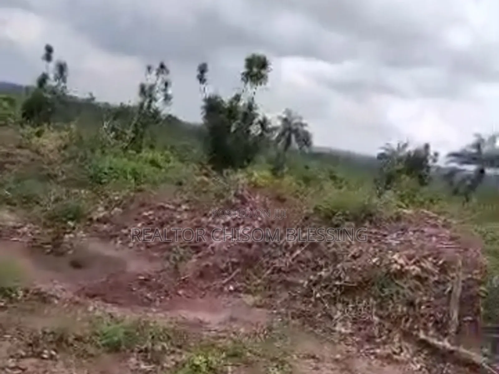 5 Plots Available Behind Divinity School, Old Umuahia!