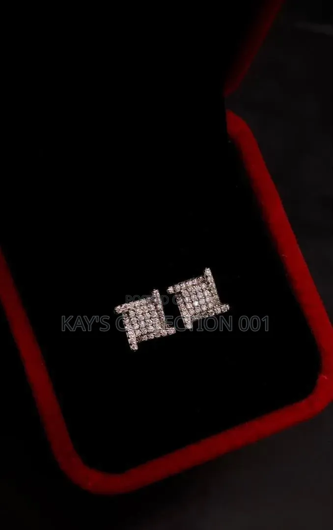 VVS Moissanite Diamonds Earrings Earrings