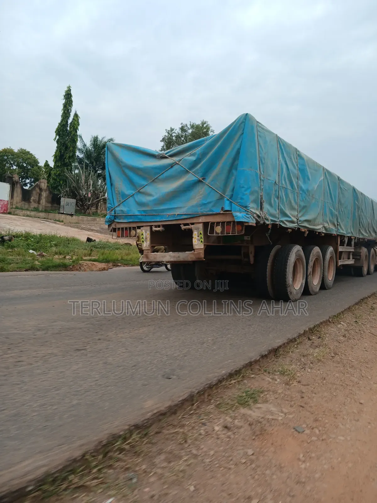 Dealer of Dangote and Bua Cement Nationwide