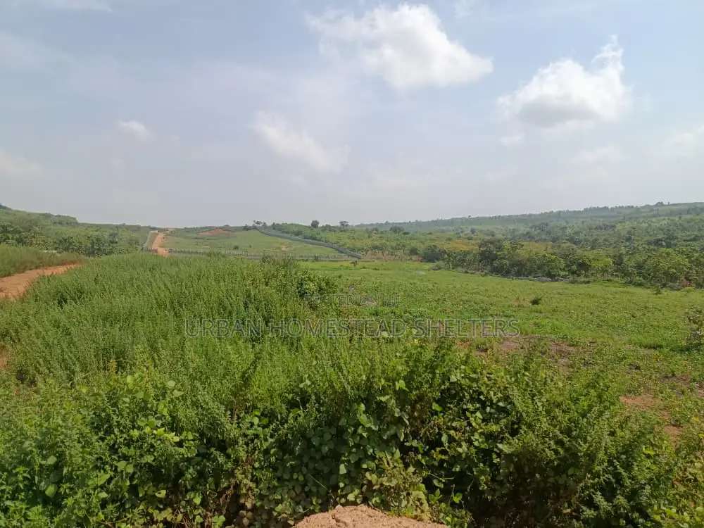 Hill View Estate Apo Hilltop/Guzape2