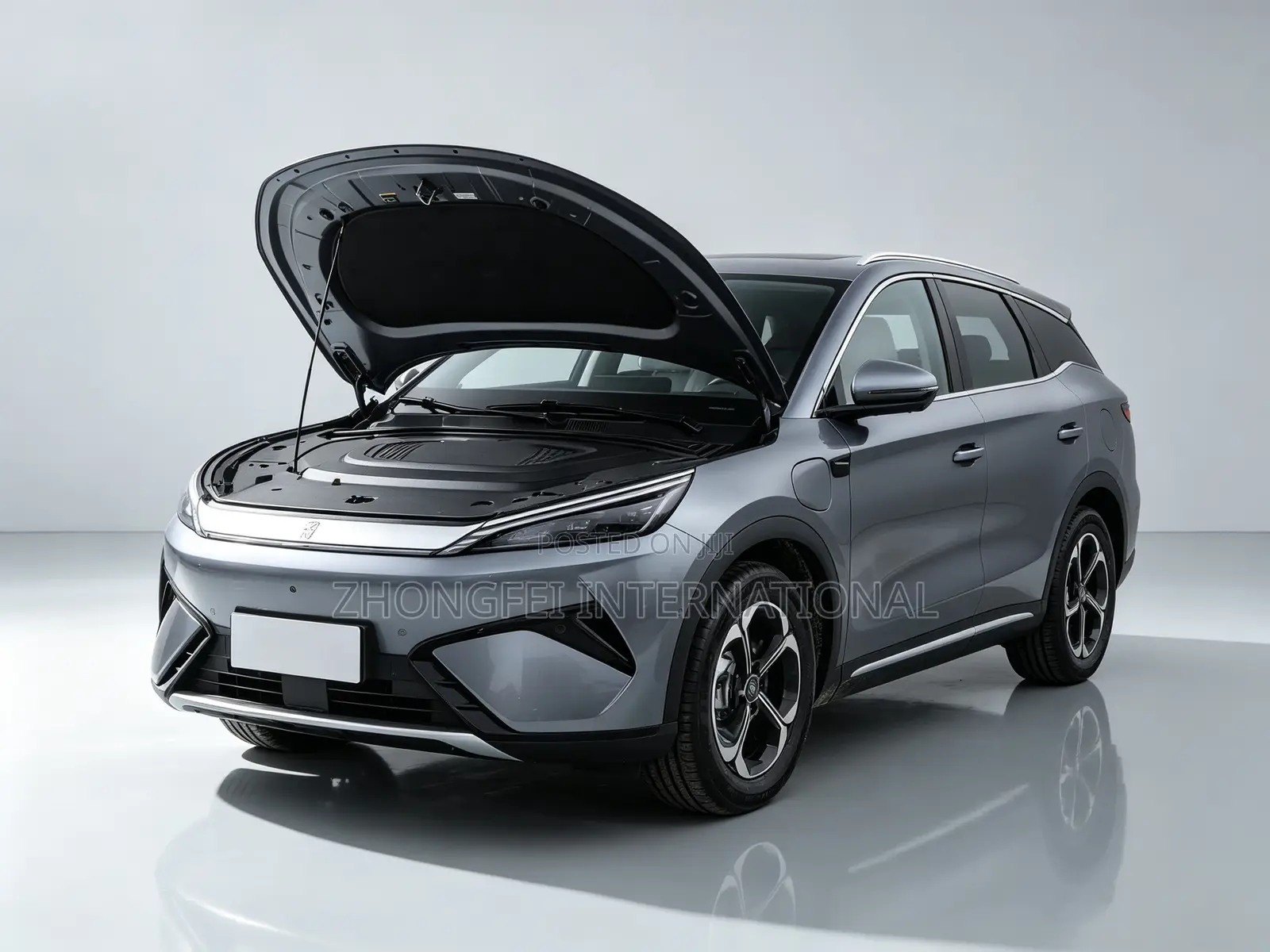 New BYD Yuan Plus 2025 Gray
