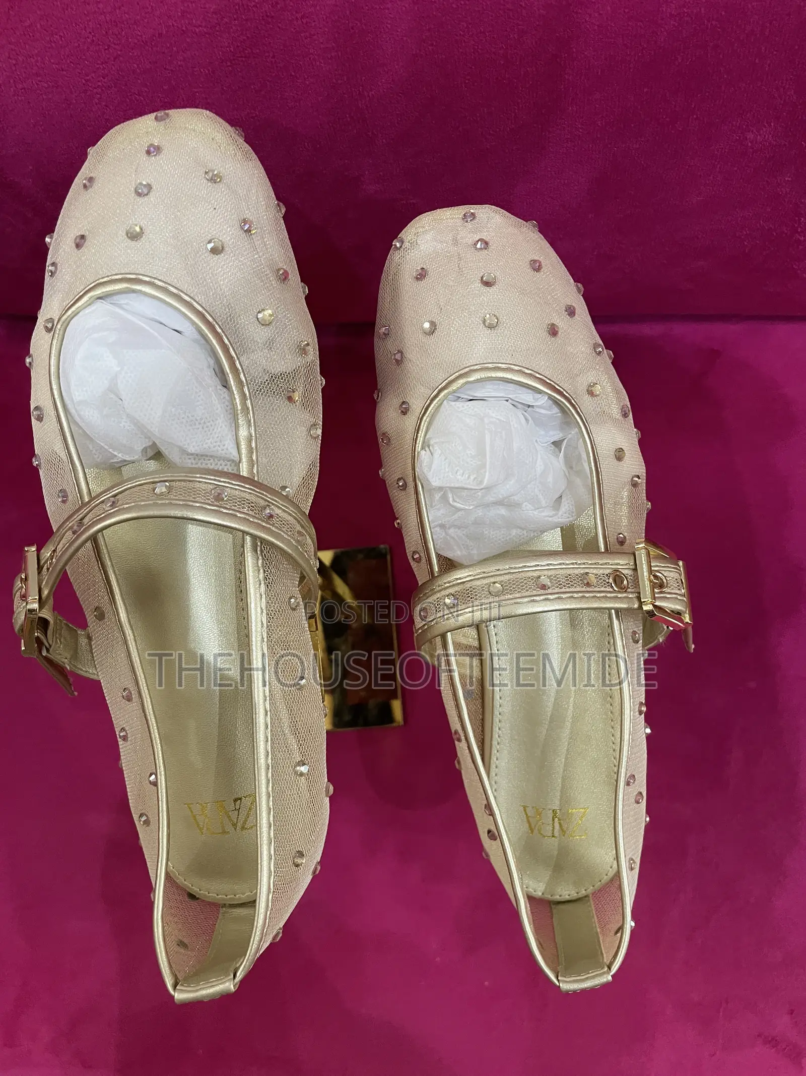 Fairly Stoned Zara Ballerina Flat for Women