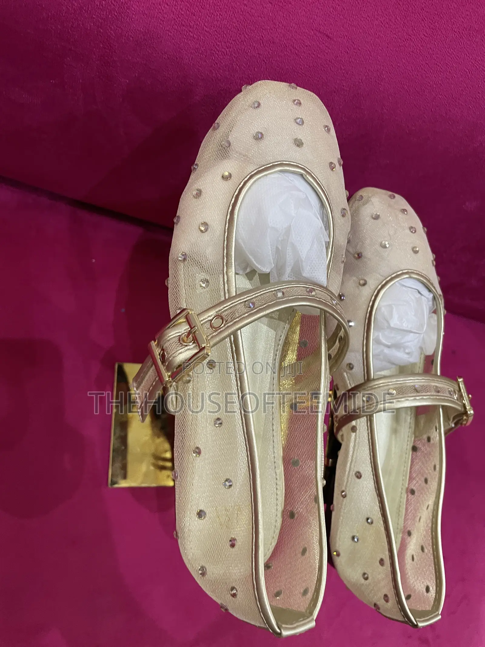 Fairly Stoned Zara Ballerina Flat for Women