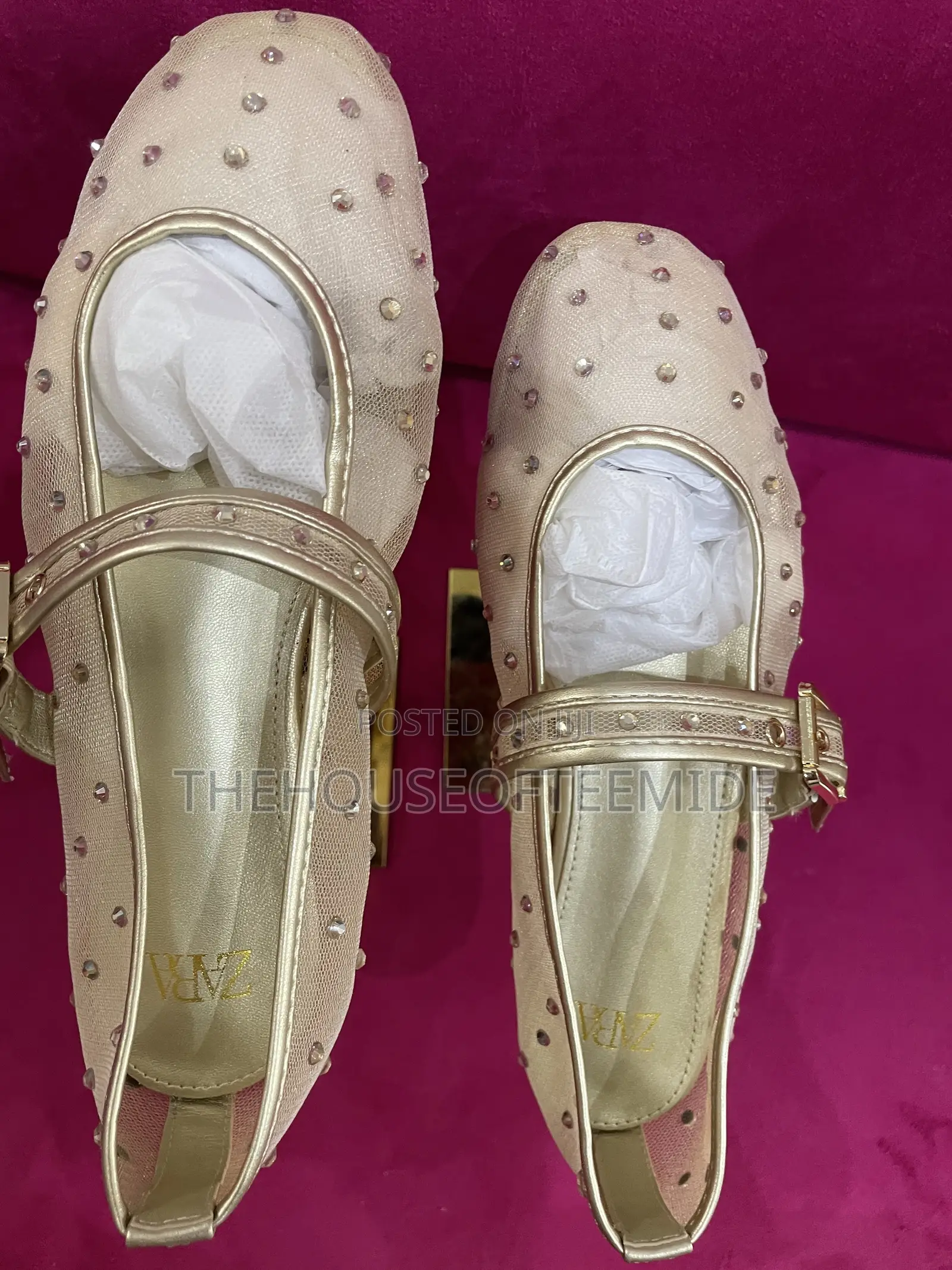 Fairly Stoned Zara Ballerina Flat for Women