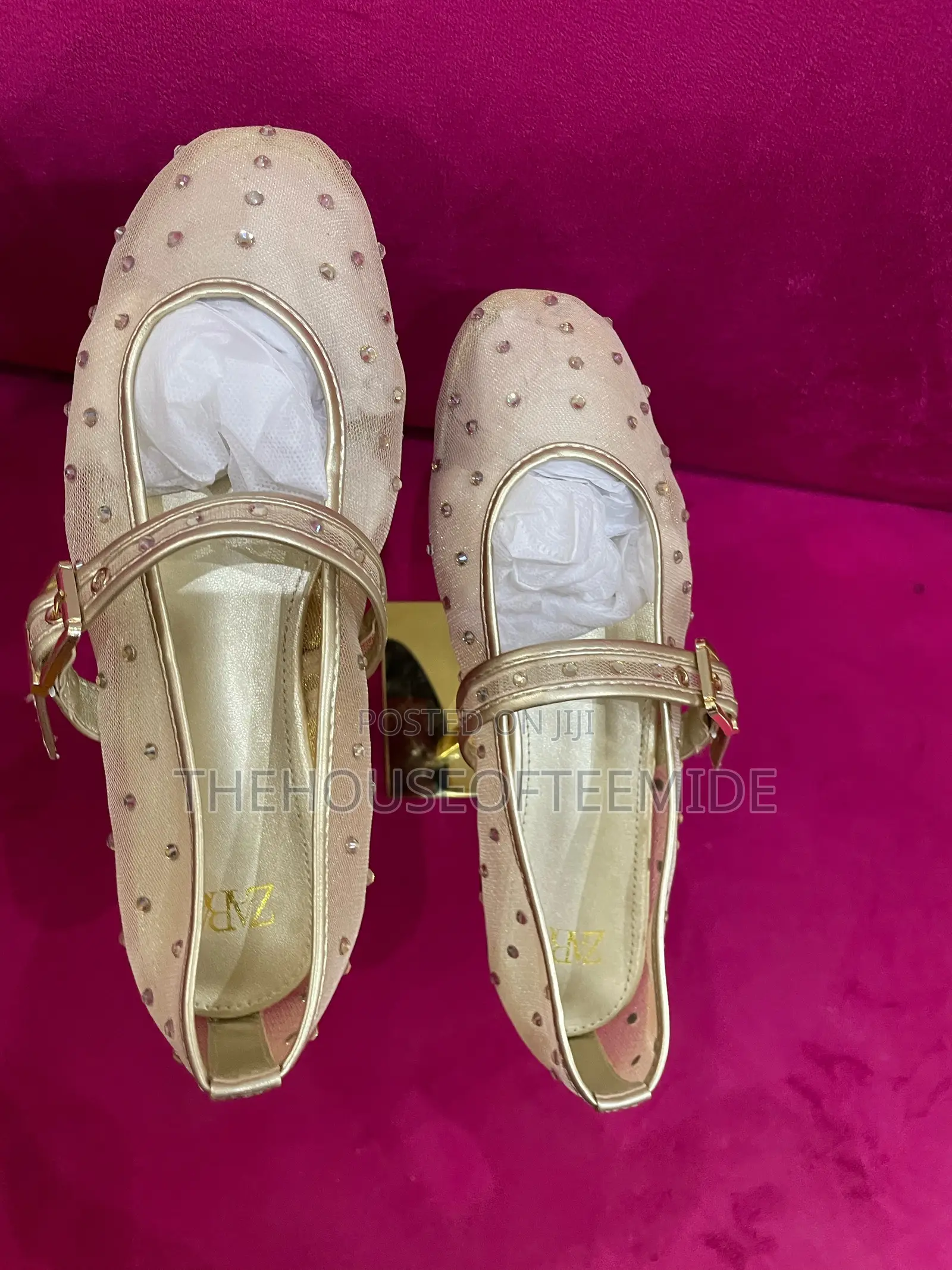 Fairly Stoned Zara Ballerina Flat for Women