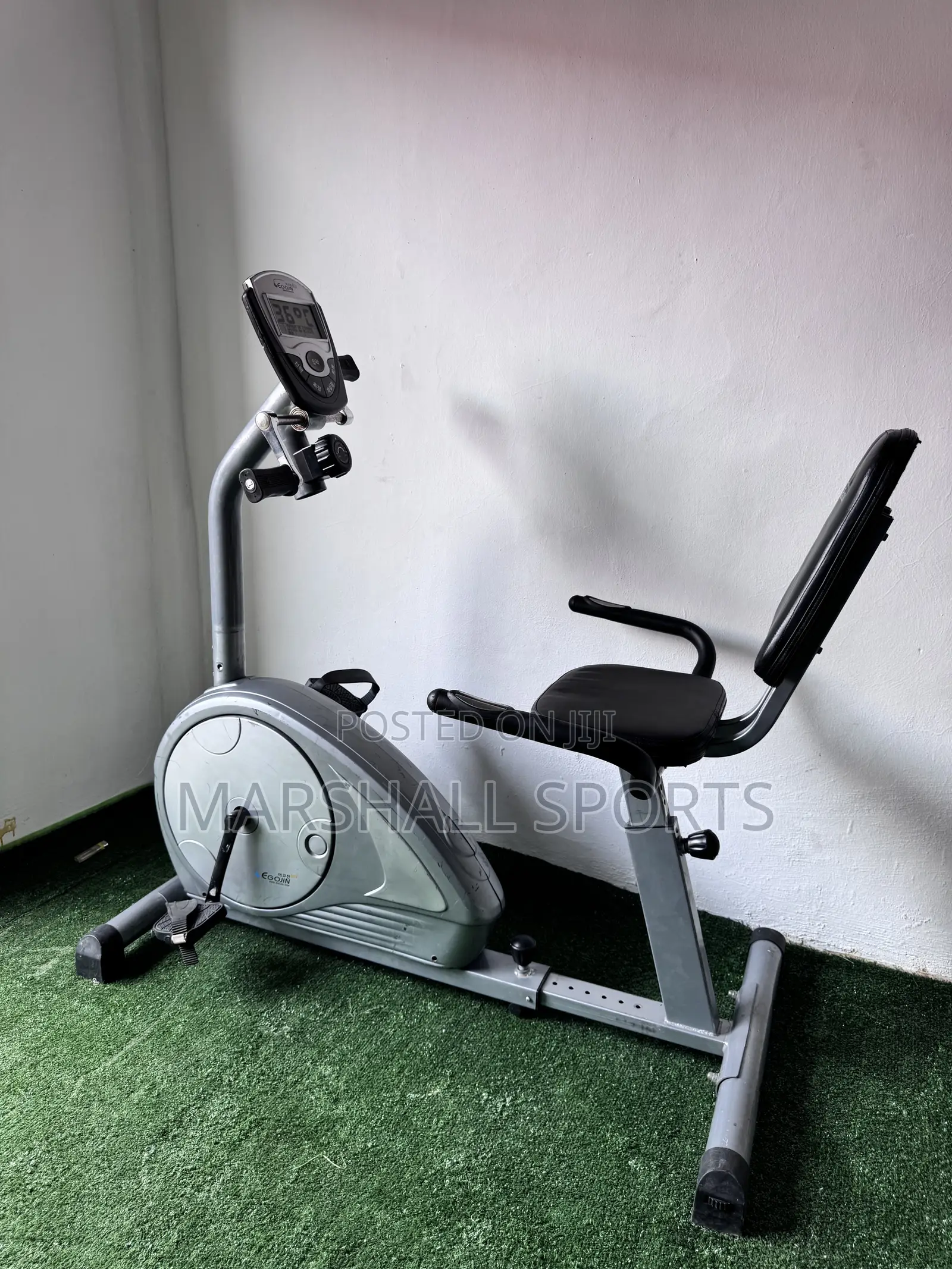Recumbent Bike With Handle