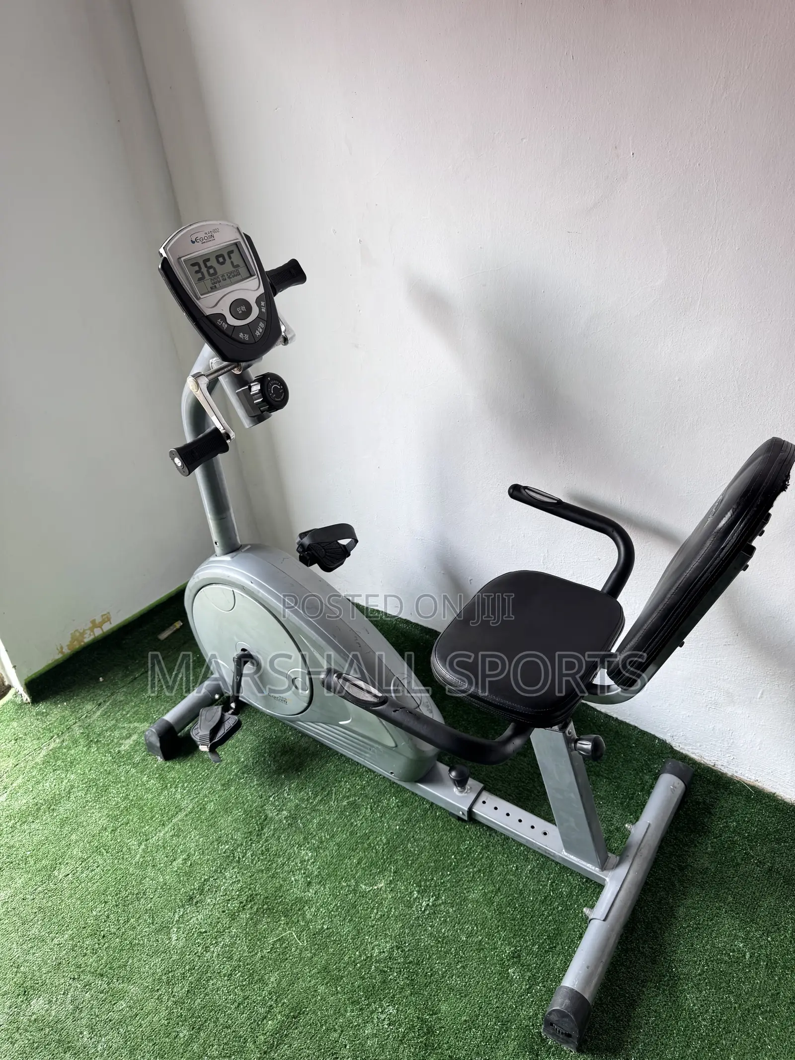 Recumbent Bike With Handle