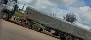 Dangote Cement Distributor
