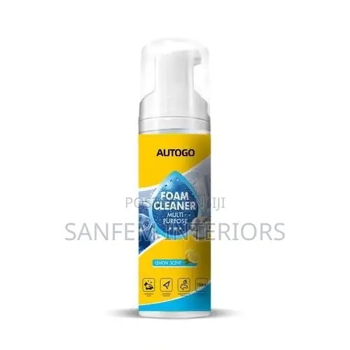 Autogo Foam Cleaner