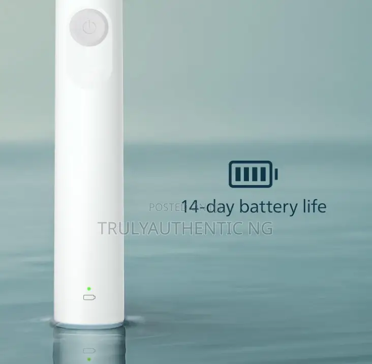 Authentic Philips Sonicare 1100 Power Rechargeable Electric Toothbrush