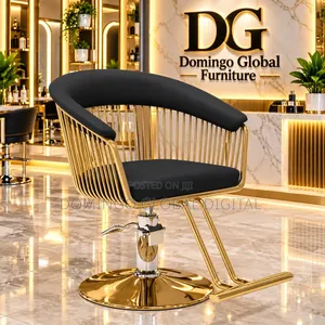 Luxury Hydraulic Salon Chair With a Vertical Gold-Wire Frame