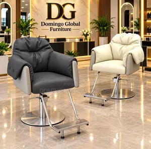 Dual-Tone Luxury Hydraulic Salon & Styling Chairs With Stainless Steel