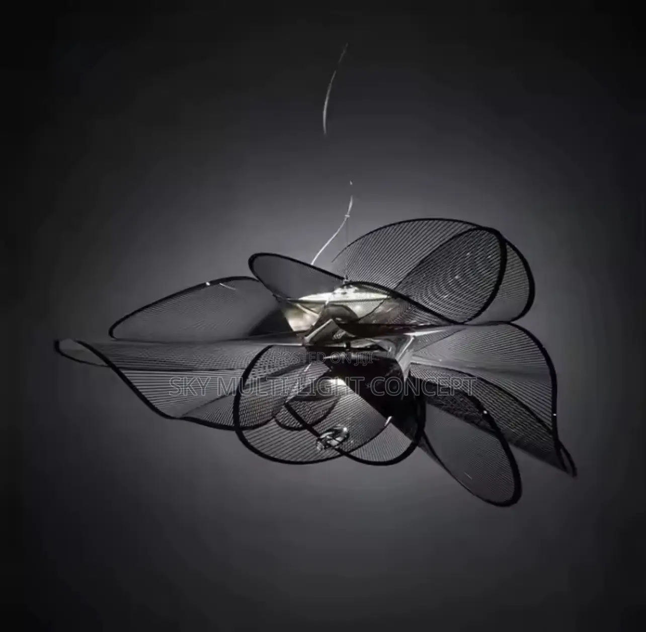 Italian Designer Living Room Chandelier