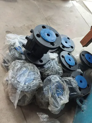 Steam Non Return Valve