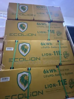 6kwh 51.2V EcoLion Lithium Ion Battery
