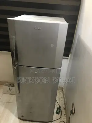 Double Door LG Refrigerator