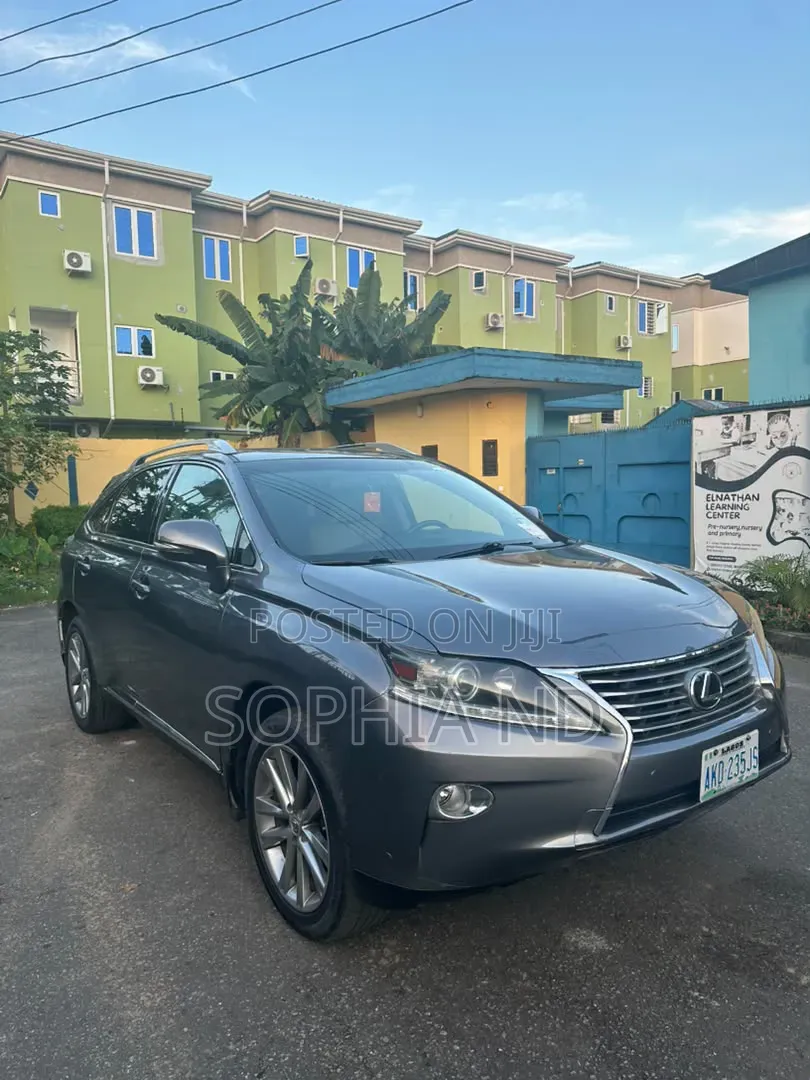 Lexus RX 2013 Gray