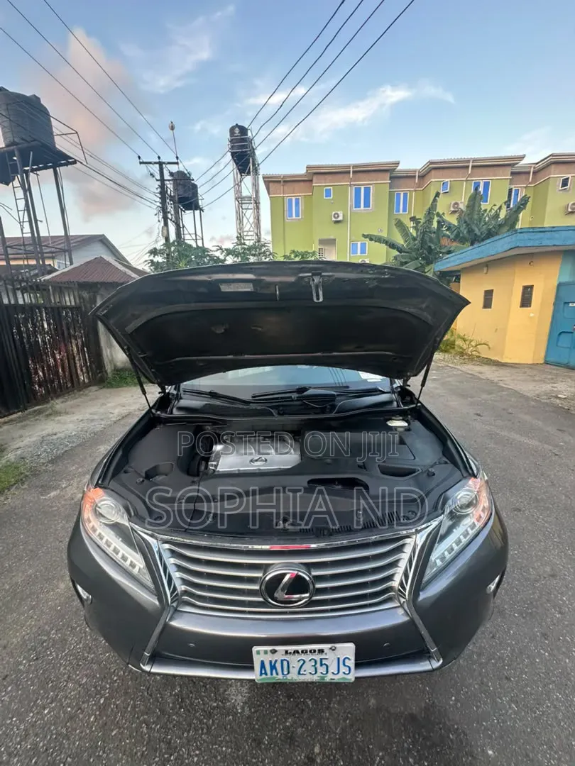 Lexus RX 2013 Gray
