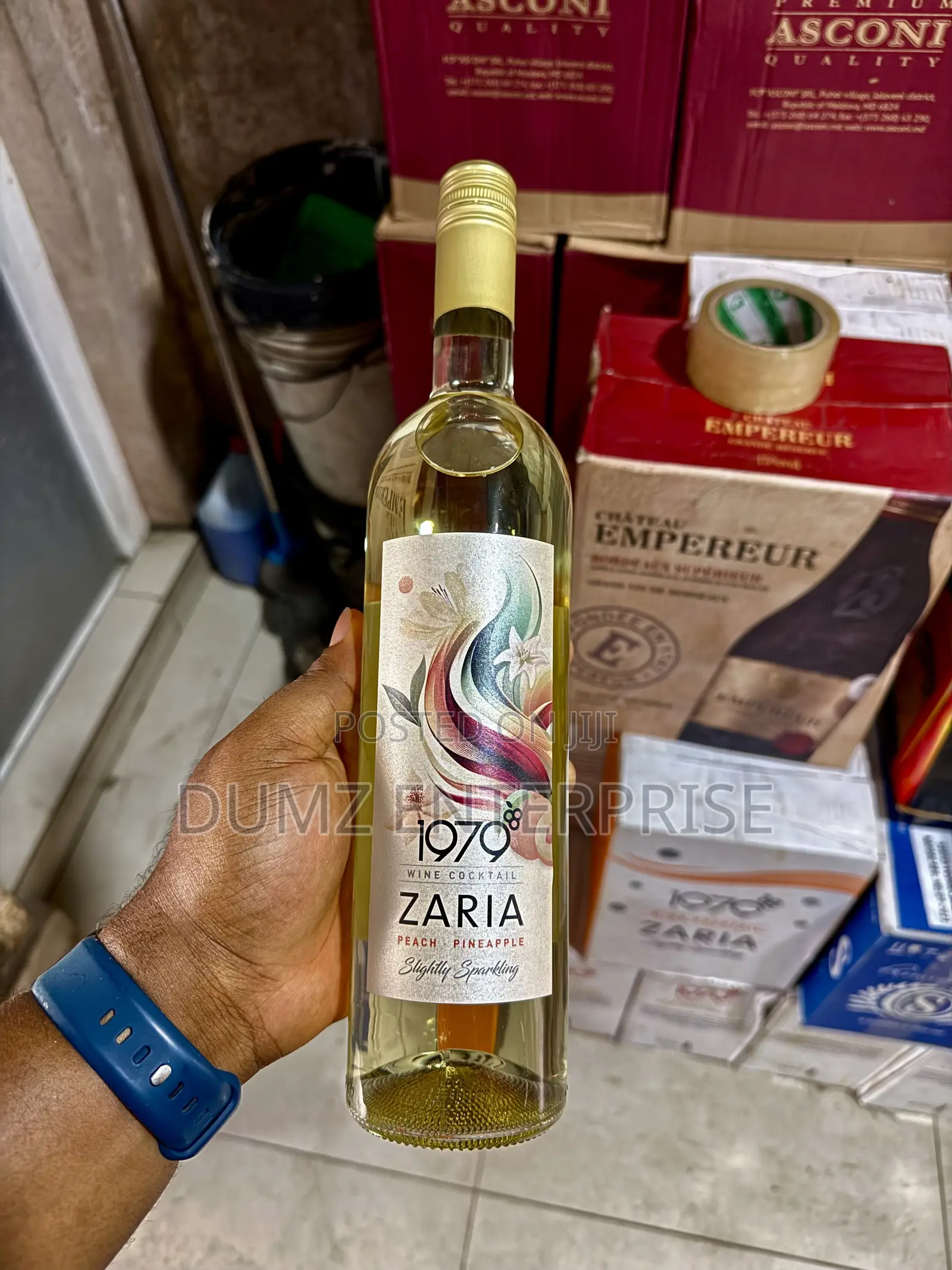 1979 Raices Argentinas Red Wine