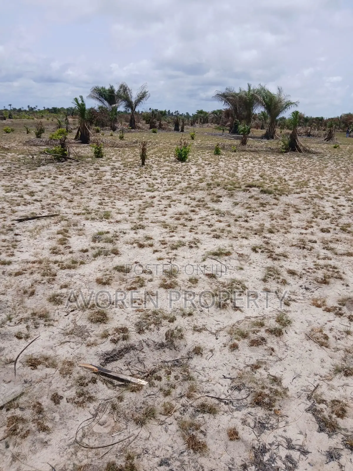 1 Plot of Land for Sale – 5 Minutes After Dangote Refinery