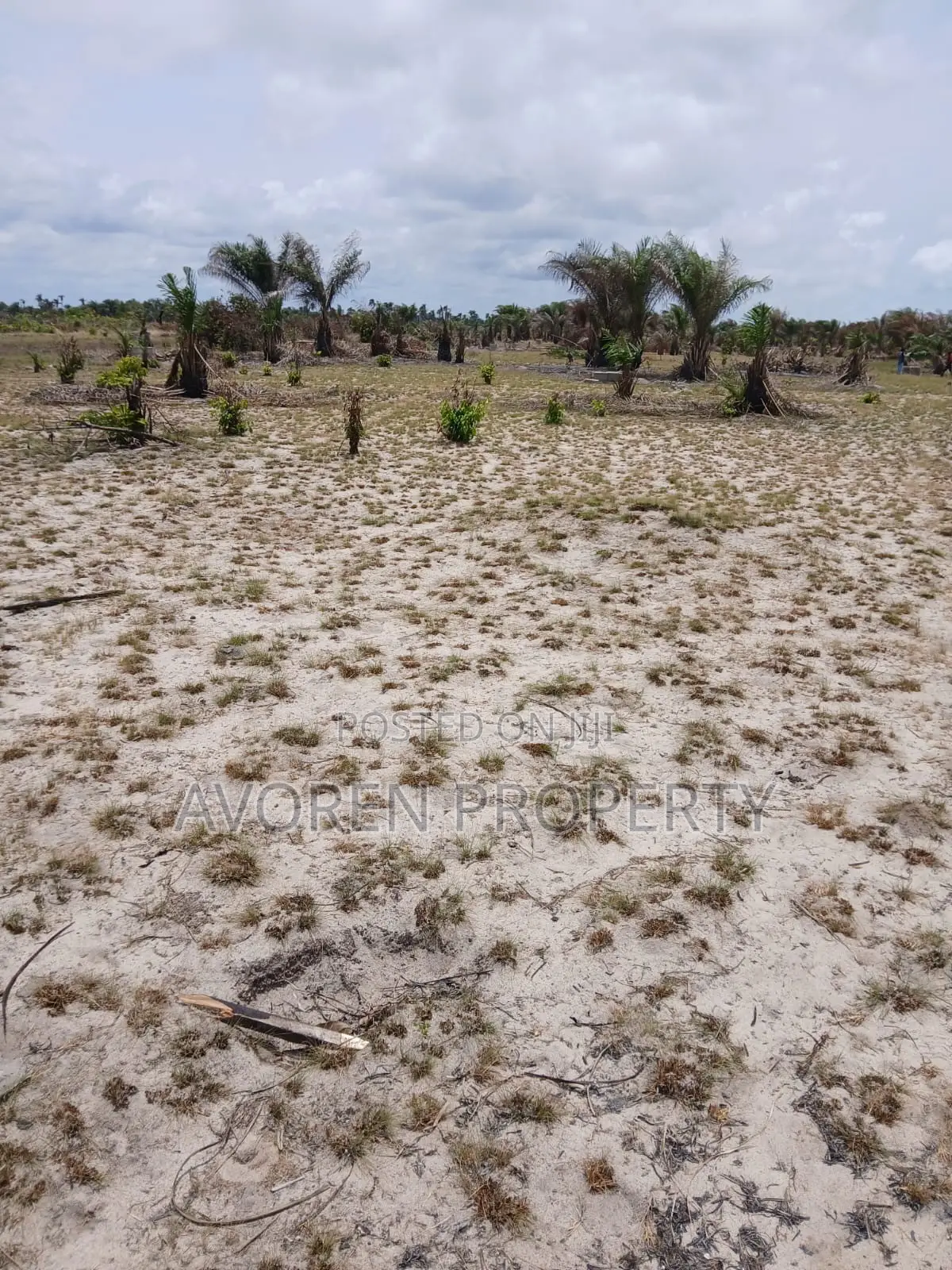 1 Plot of Land for Sale – 5 Minutes After Dangote Refinery