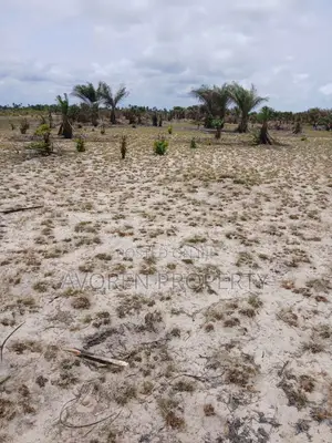 1 Plot of Land for Sale – 5 Minutes After Dangote Refinery