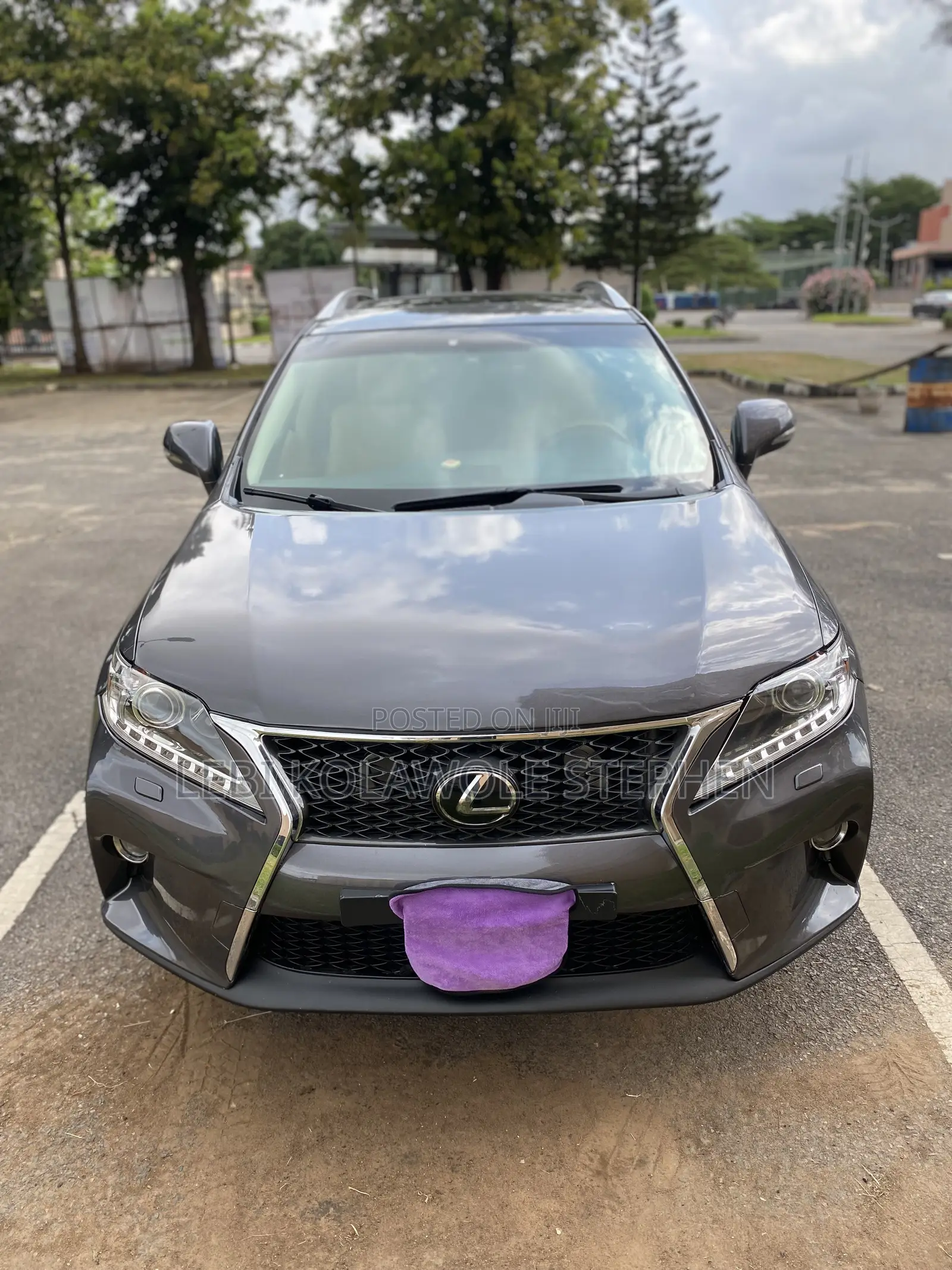 Lexus RX 350 2010 Gray
