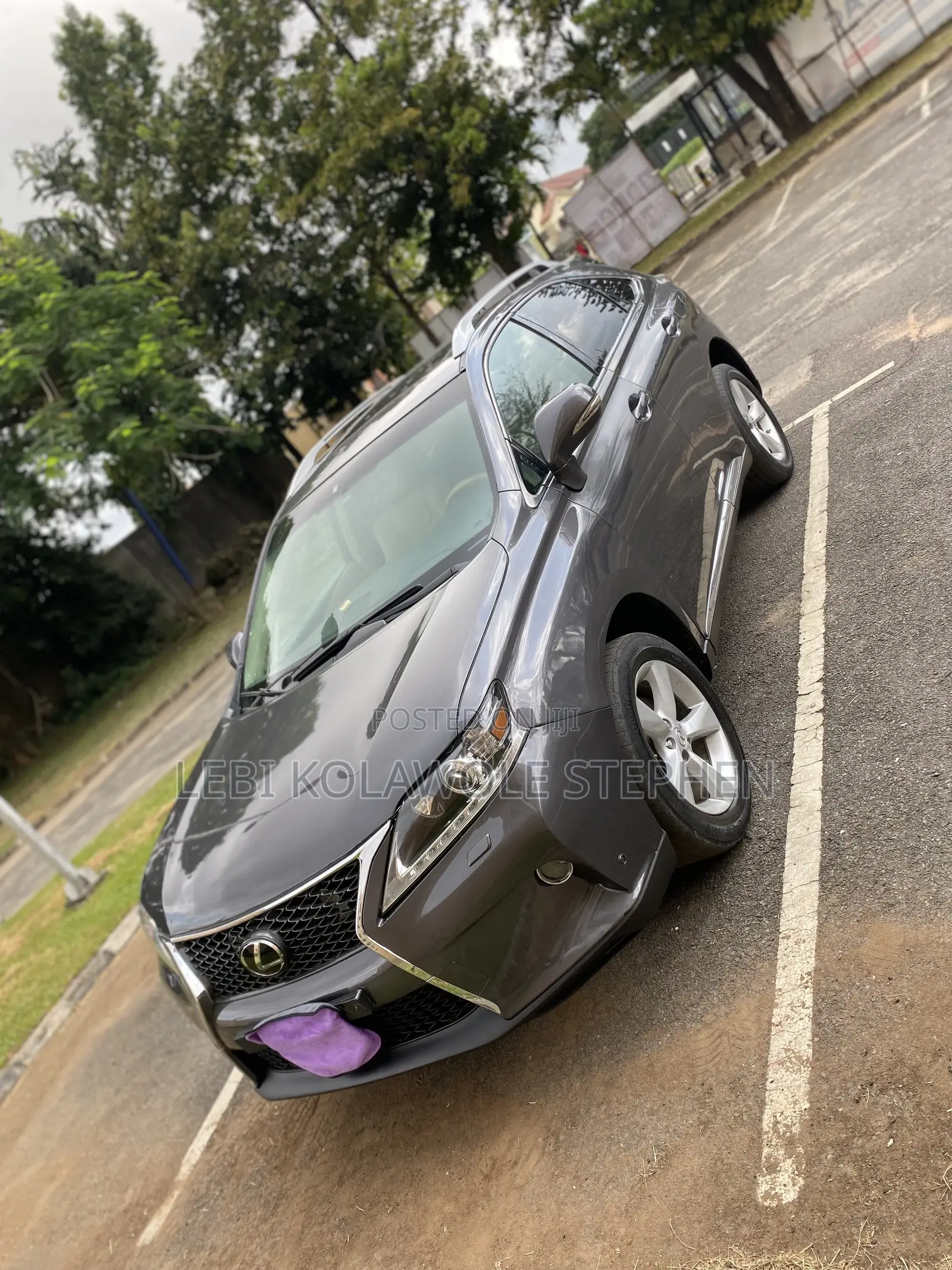 Lexus RX 350 2010 Gray
