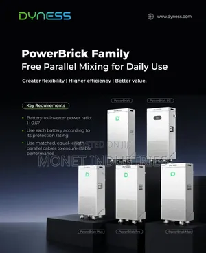 14.336kwh 48v Dyness Powerbrick Lithium Batteries