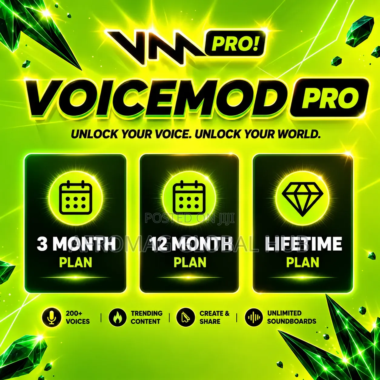VoiceMod PRO 3-12m/Lifetime | Upgrade/Renewal | Win/MacOS