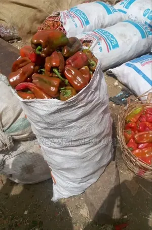 Tomato and Pepper
