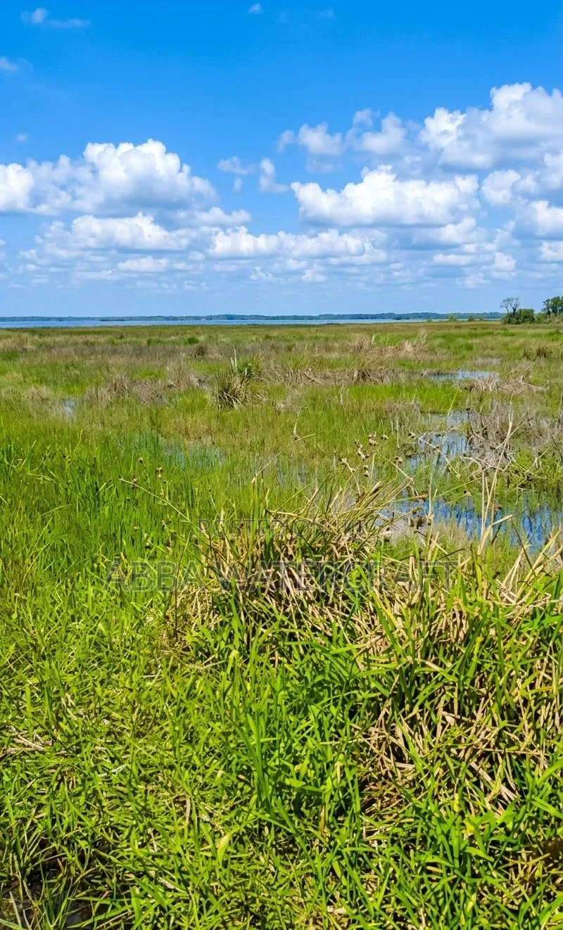 Hot Deal! Waterfront Land for Dredging Available for Lease!