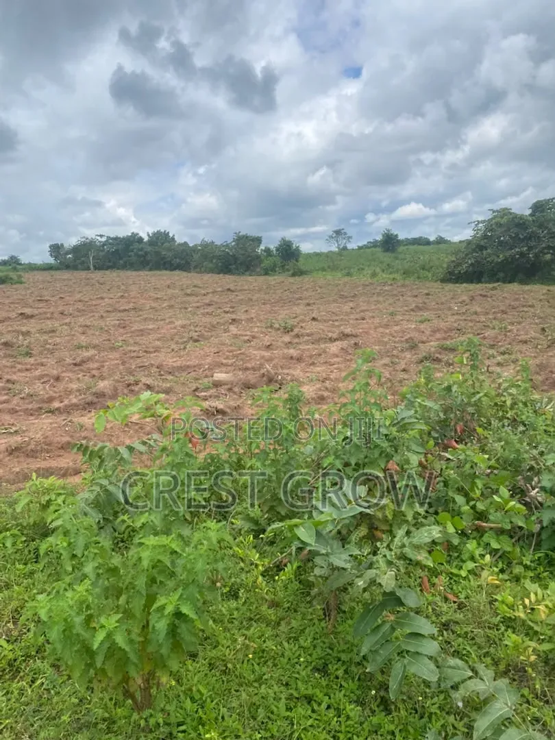 Farmland at Iseyin Oyo State