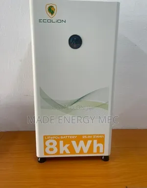 Ecolion 8kWh 25.6V 314Ah LiFePO4 Lithium Battery