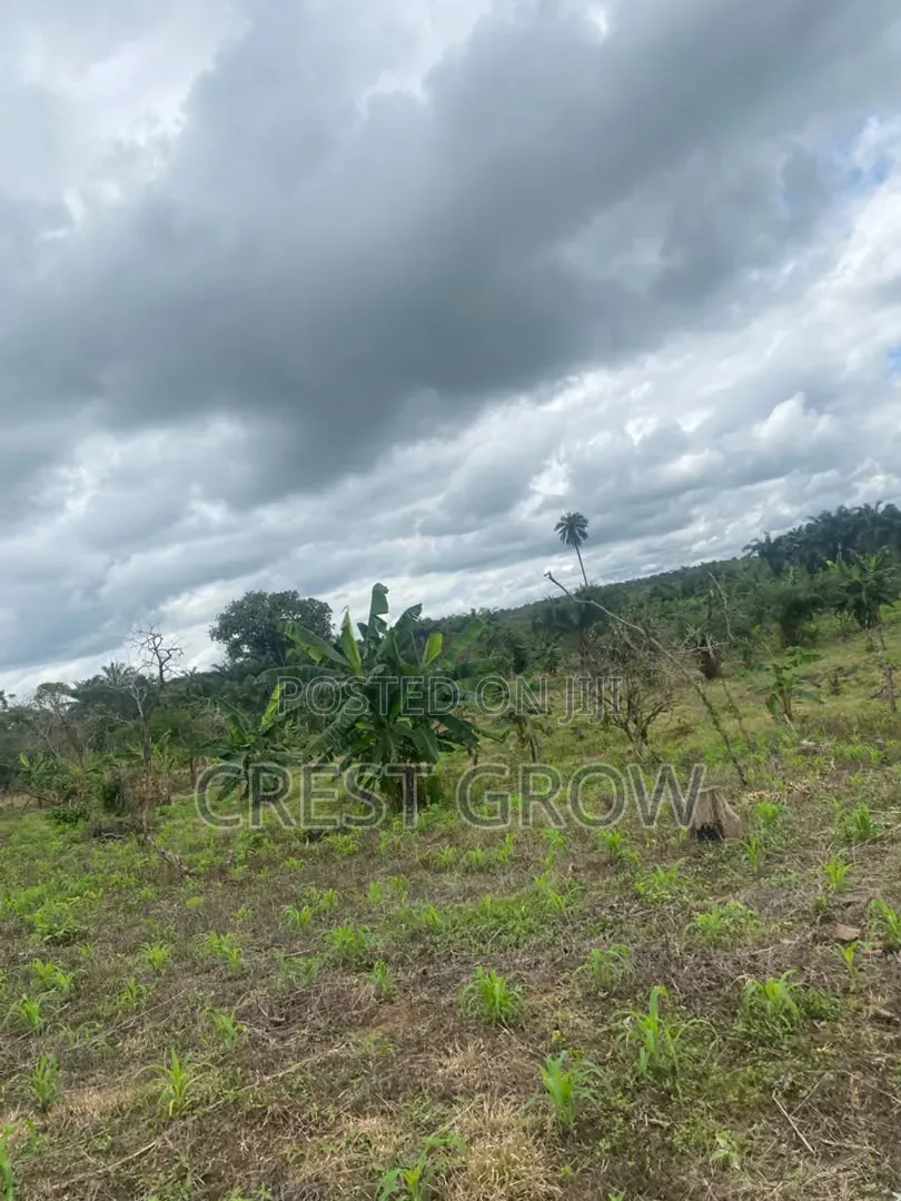 100 Acres of Quality Farm Land at Iseyin Oyo State
