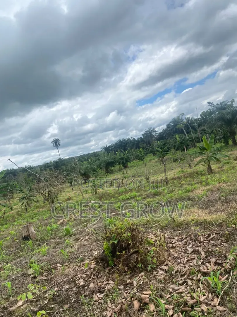 100 Acres of Quality Farm Land at Iseyin Oyo State