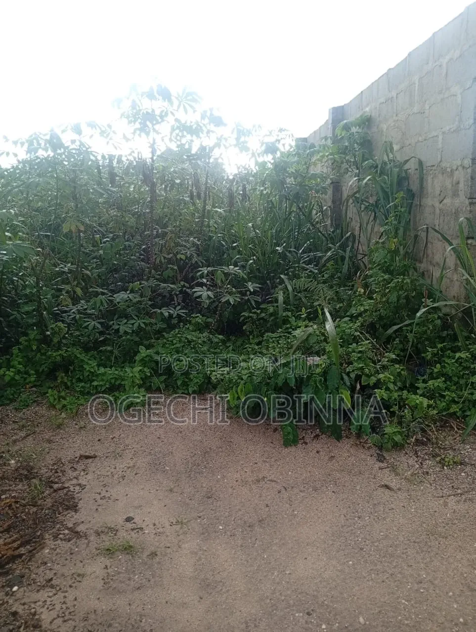 Genuine Buy and Build Plot for Sale at Igboh Etche